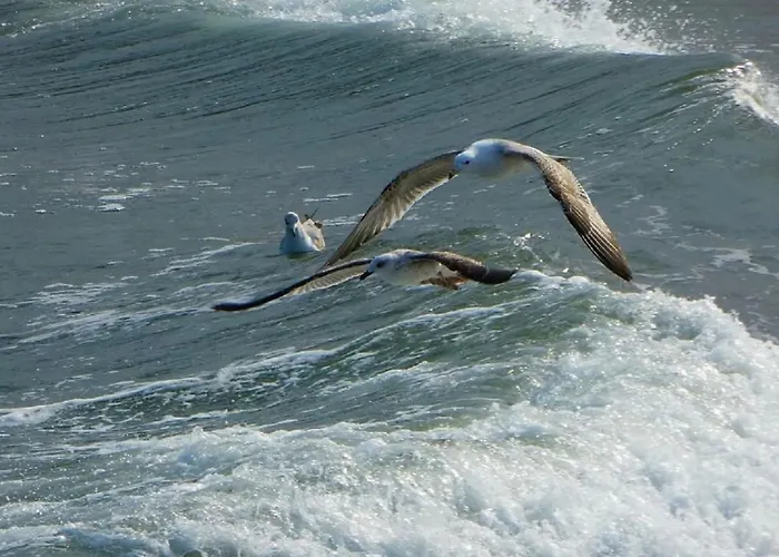 Sunrise Созопол